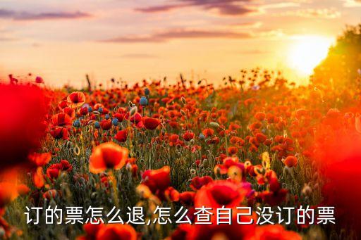 网上订的票怎么退,怎么查自己没订的票?