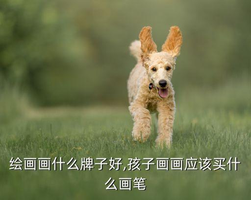 小孩绘画画什么牌子好,孩子画画应该买什么画笔?