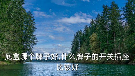 86底盒哪个牌子好,什么牌子的开关插座比较好?