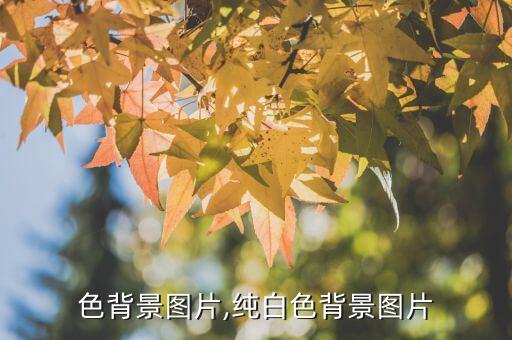 色背景图片,纯白色背景图片