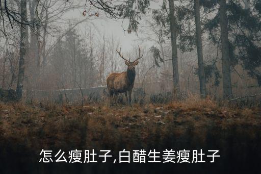 生姜怎么瘦肚子,白醋生姜瘦肚子