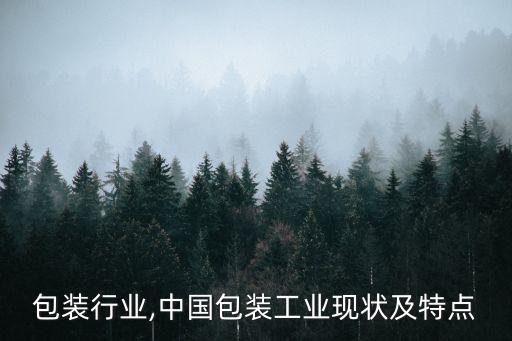 包装行业,中国包装工业现状及特点