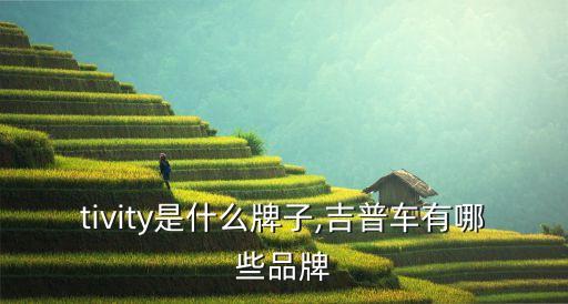 motivity是什么牌子,吉普车有哪些品牌?