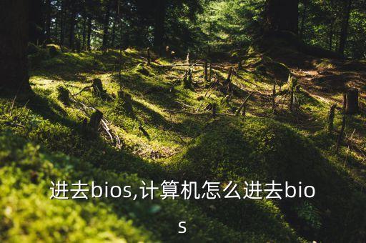 怎么进去bios,计算机怎么进去bios