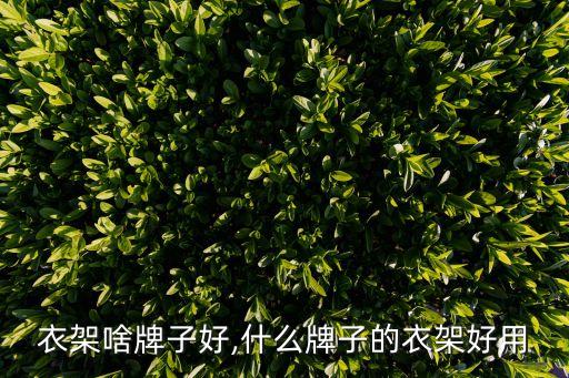 衣架啥牌子好,什么牌子的衣架好用