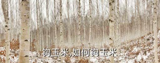 钩玉米,如何钩玉米