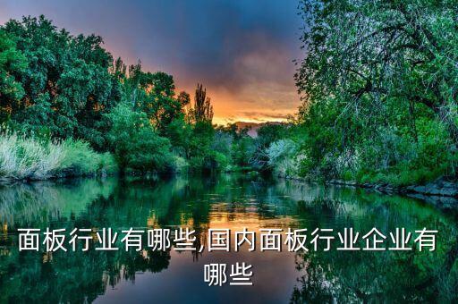 面板行业有哪些,国内面板行业企业有哪些