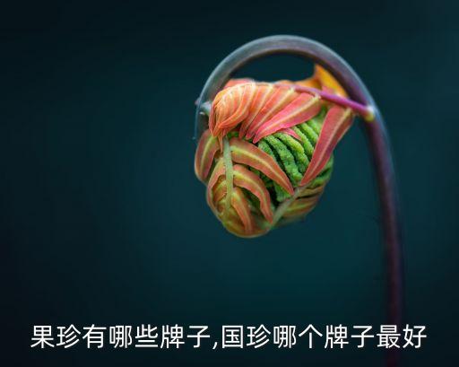 进口果珍有哪些牌子,国珍哪个牌子最好