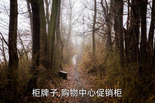 促销柜牌子,购物中心促销柜