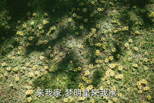 来我家,梦明星来我家