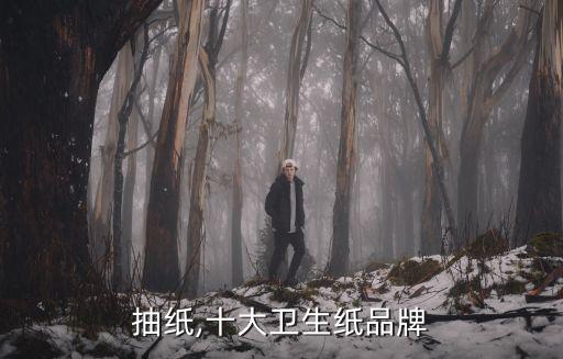 维达抽纸,十大卫生纸品牌