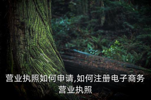 电商营业执照如何申请,如何注册电子商务营业执照?