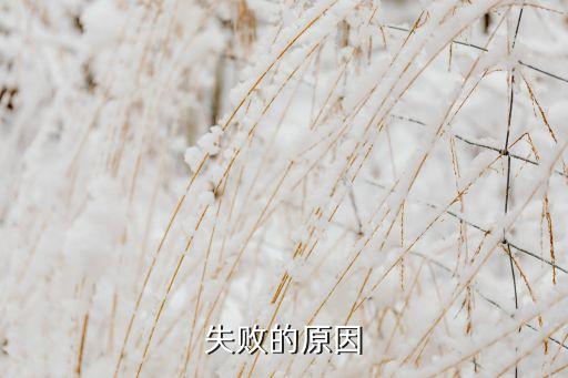 中国失败的原因
