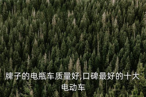 哪个牌子的电瓶车质量好,口碑最好的十大电动车