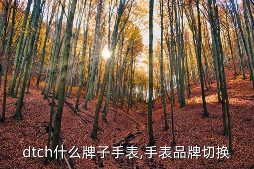 swdtch什么牌子手表,手表品牌切换