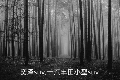 丰田奕泽suv,一汽丰田小型suv