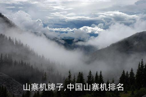 国产山寨机牌子,中国山寨机排名