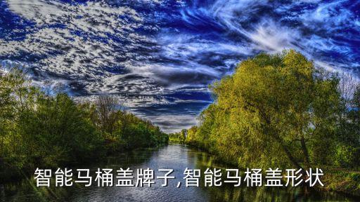方形智能马桶盖牌子,智能马桶盖形状
