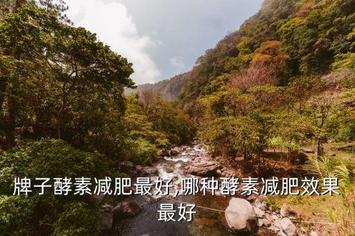 牌子酵素减肥最好,哪种酵素减肥效果最好