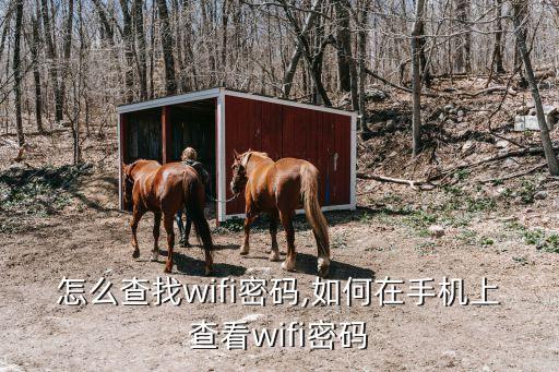 怎么查找wifi密码,如何在手机上查看wifi密码