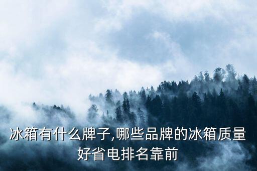 酒店冰箱有什么牌子,哪些品牌的冰箱质量好省电排名靠前?