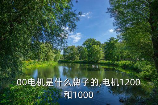 00电机是什么牌子的,电机1200和1000