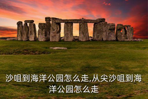 沙咀到海洋公园怎么走,从尖沙咀到海洋公园怎么走