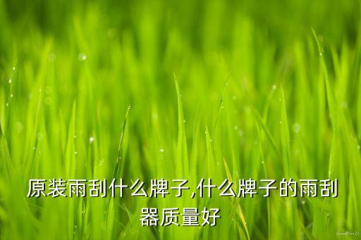  原装雨刮什么牌子,什么牌子的雨刮器质量好