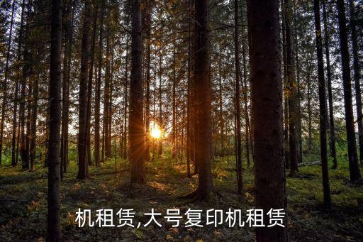 复印机租赁,大号复印机租赁