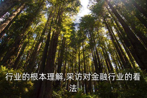 金融行业的根本理解,采访对金融行业的看法
