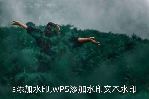 wps添加水印,wPS添加水印文本水印
