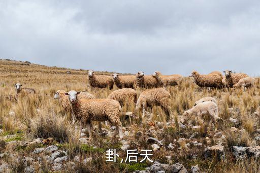 卦,后天