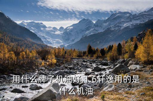 用什么牌子机油好,1.6轩逸用的是什么机油