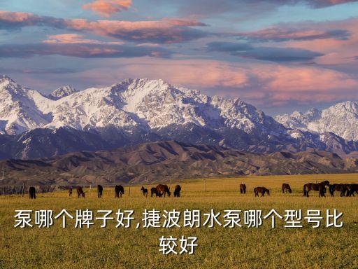 泵哪个牌子好,捷波朗水泵哪个型号比较好
