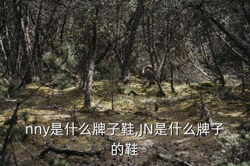jenny是什么牌子鞋,JN是什么牌子的鞋?