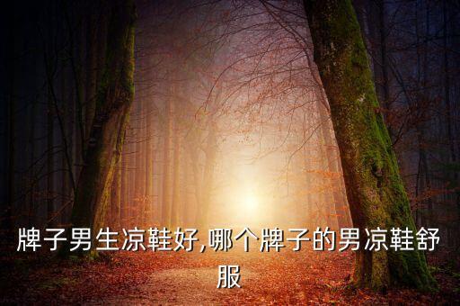 哪个牌子男生凉鞋好,哪个牌子的男凉鞋舒服?
