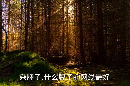 杂牌子,什么牌子的网线最好