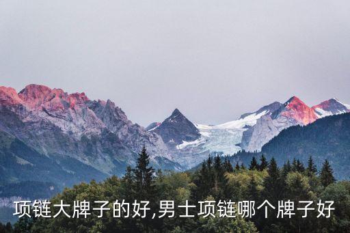 项链大牌子的好,男士项链哪个牌子好