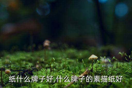水粉纸什么牌子好,什么牌子的素描纸好?