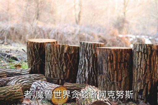 贪婪者,魔兽世界贪婪者阿克努斯