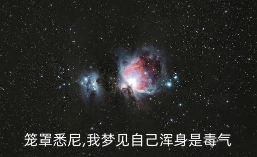 毒气笼罩悉尼,我梦见自己浑身是毒气