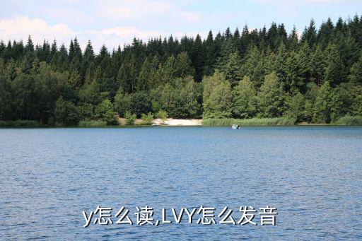 lvy怎么读,LVY怎么发音?