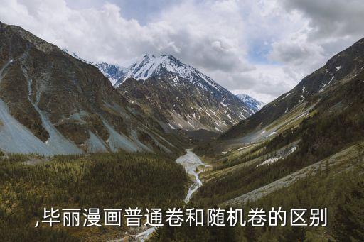 b漫,毕丽漫画普通卷和随机卷的区别