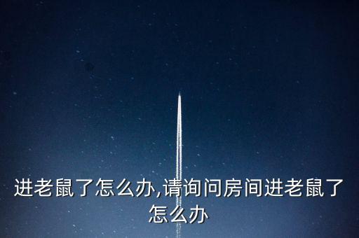 进老鼠了怎么办,请询问房间进老鼠了怎么办