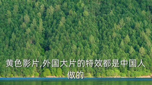 黄色影片,外国大片的特效都是中国人做的