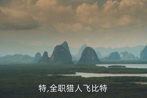 特,全职猎人飞比特