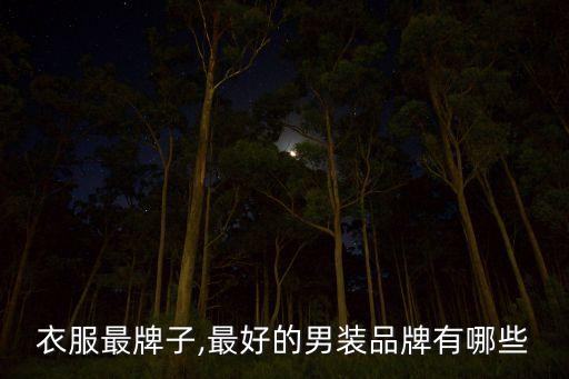 什么衣服最牌子,最好的男装品牌有哪些?