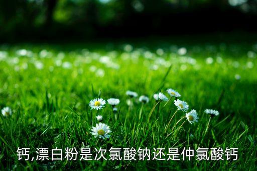 氯酸钙,漂白粉是次氯酸钠还是仲氯酸钙