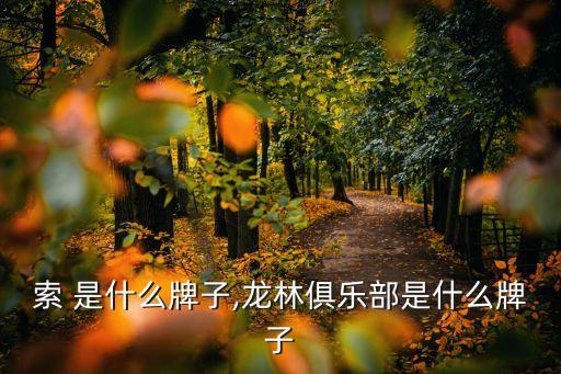 多米索 是什么牌子,龙林俱乐部是什么牌子?
