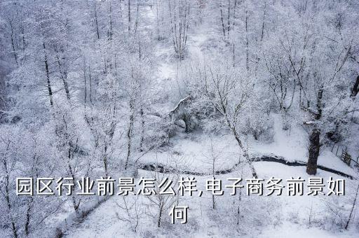 电商园区行业前景怎么样,电子商务前景如何?